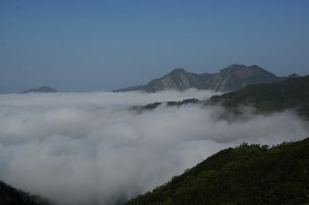 阿里山雲海 阿里山雲海