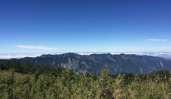 麟趾山 鹿林山步道 麟趾山 鹿林山步道