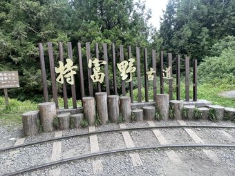 塔塔加 特富野古道