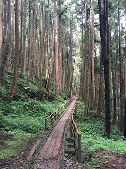 特富野古道